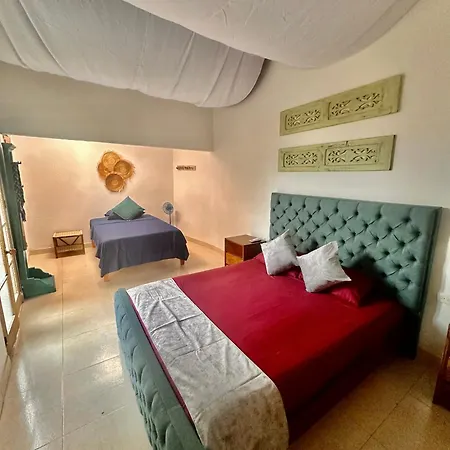 Hotel Renasci Palomino Exterior photo