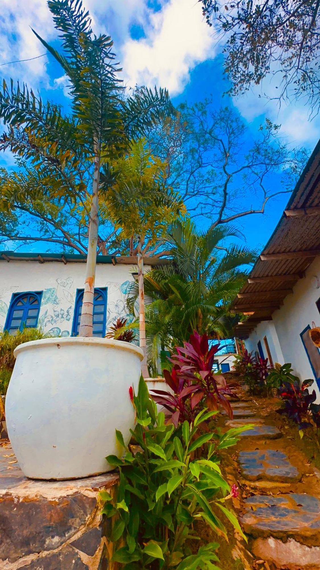 Renasci Hotel Palomino