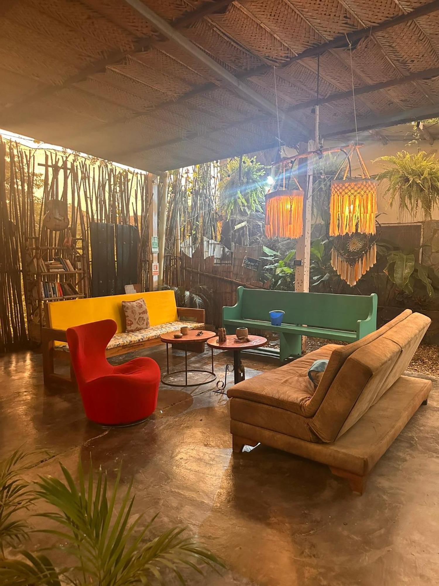 Hotel Renasci Palomino